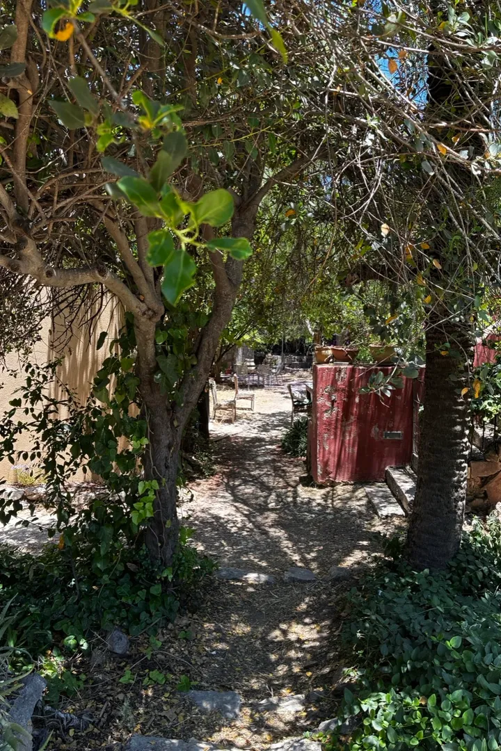 השביל אל חדר הטיפולים