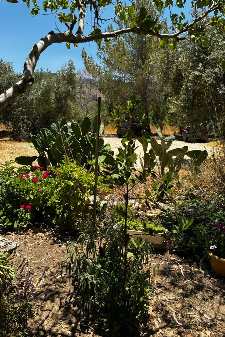 הגן במתחם